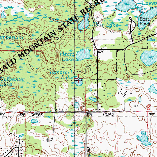 Topographic Map of Tamarack Lake, MI