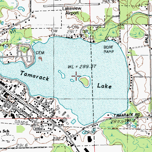 Topographic Map of Tamarack Lake, MI