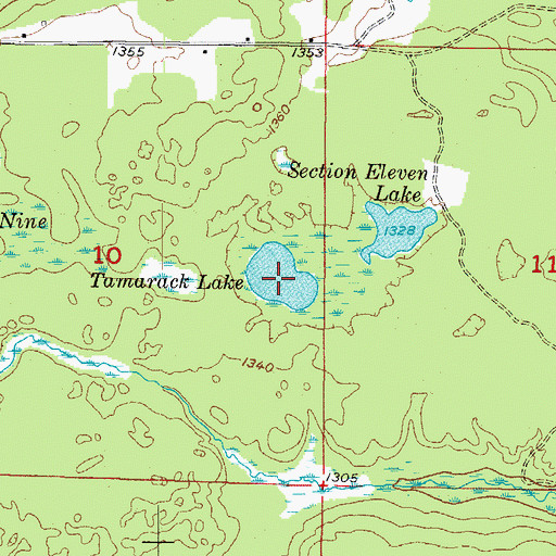 Topographic Map of Tamarack Lake, MI