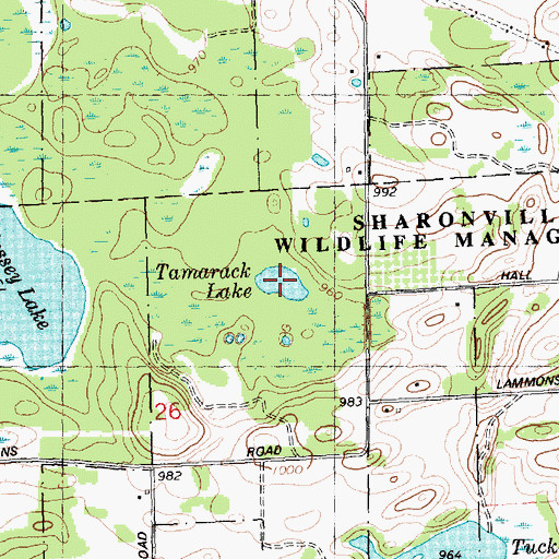 Topographic Map of Tamarack Lake, MI