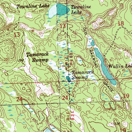 Topographic Map of Tamarack Swamp, MI