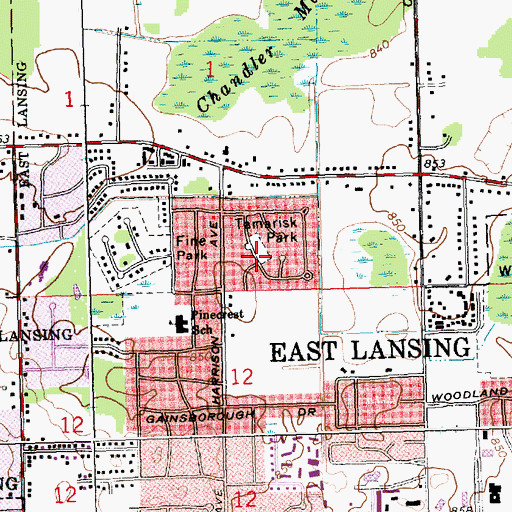 Topographic Map of Tamarisk Park, MI