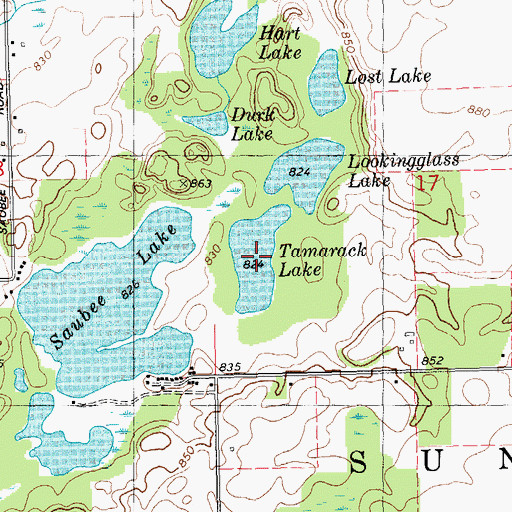 Topographic Map of Tamarock Lake, MI