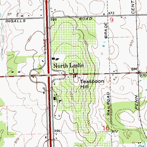 Topographic Map of Teaspoon Hill, MI