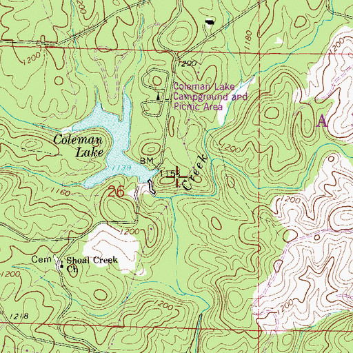 Topographic Map of Coleman Dam, AL