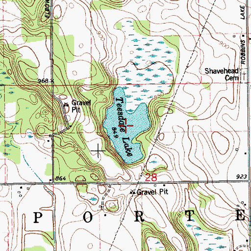 Topographic Map of Teesdale Lake, MI