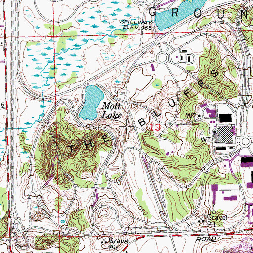 Topographic Map of The Bluffs, MI