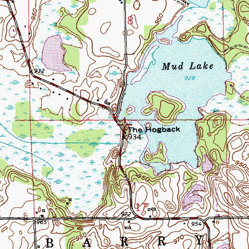 Topographic Map of The Hogback, MI