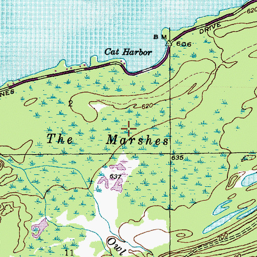 Topographic Map of The Marshes, MI
