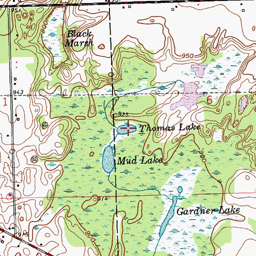 Topographic Map of Thomas Lake, MI