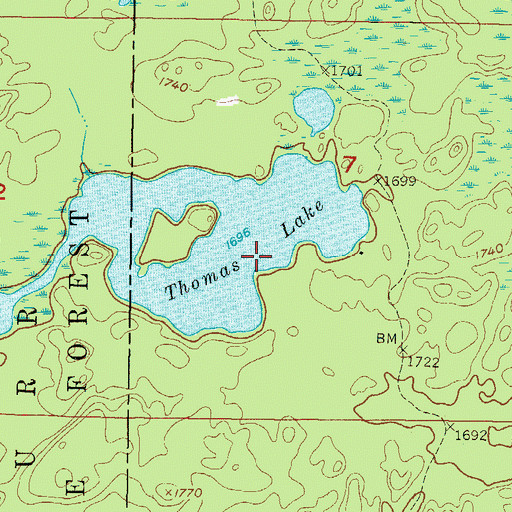 Topographic Map of Thomas Lake, MI