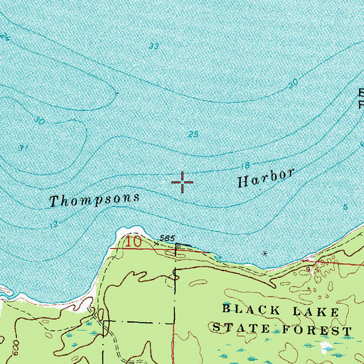 Topographic Map of Thompsons Harbor, MI