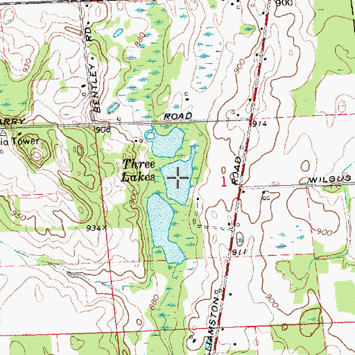 Topographic Map of Three Lakes, MI
