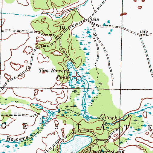 Topographic Map of Tim Bowers Pond, MI