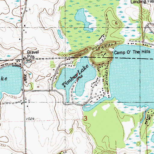Topographic Map of Timber Lake, MI