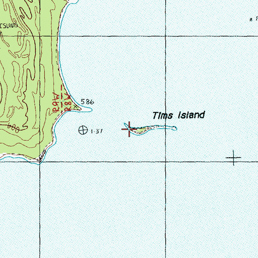 Topographic Map of Tims Island, MI