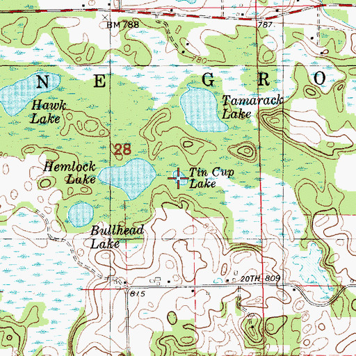 Topographic Map of Tin Cup Lake, MI