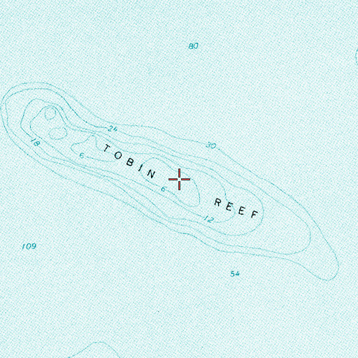 Topographic Map of Tobin Reef, MI