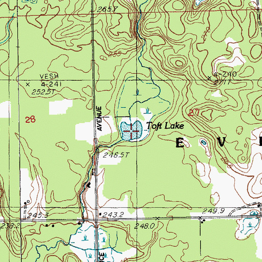 Topographic Map of Toft Lake, MI