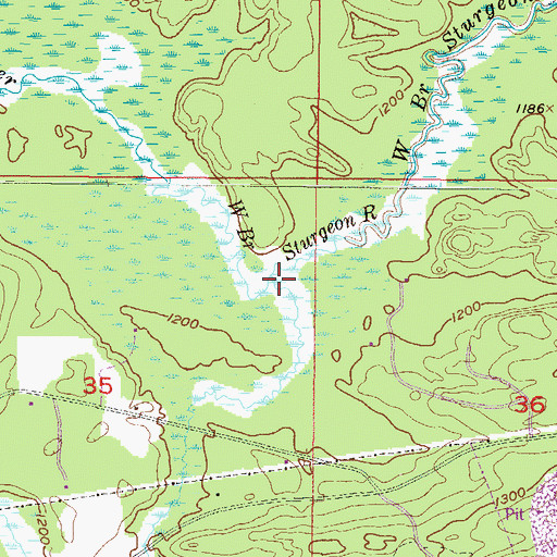 Topographic Map of Tom Kings Creek, MI