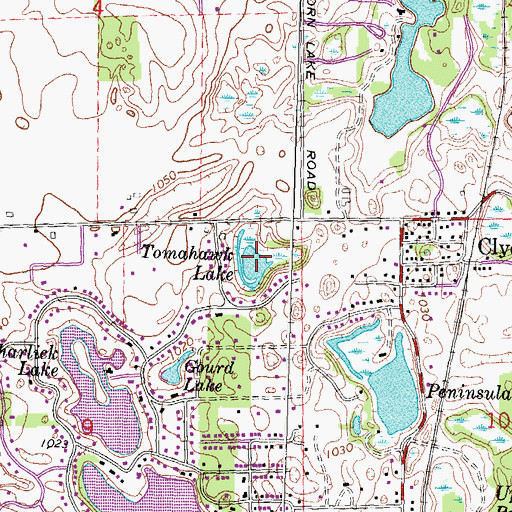 Topographic Map of Tomahawk Lake, MI