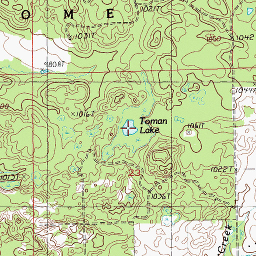 Topographic Map of Toman Lake, MI
