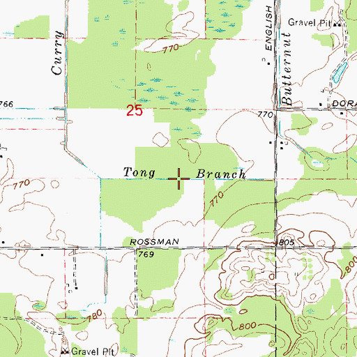 Topographic Map of Tong Branch, MI