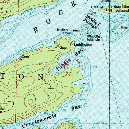 Topographic Map of Tonkin Bay, MI