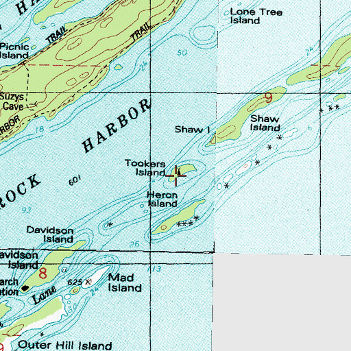 Topographic Map of Tookers Island Campground, MI