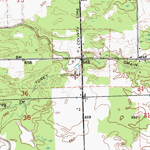 Topographic Map of Torey Drain, MI