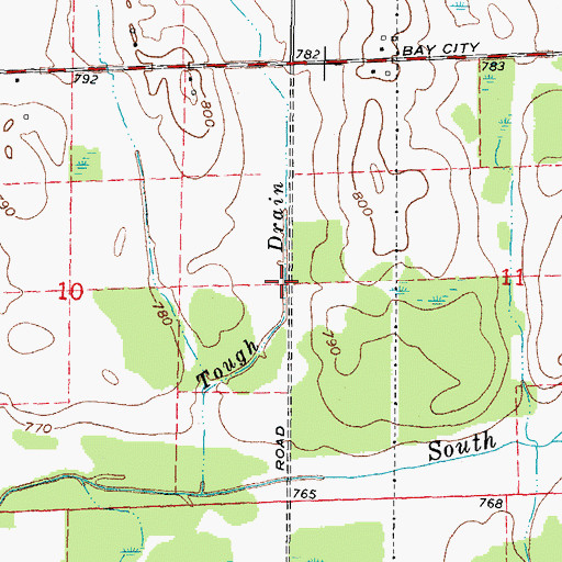 Topographic Map of Tough Drain, MI