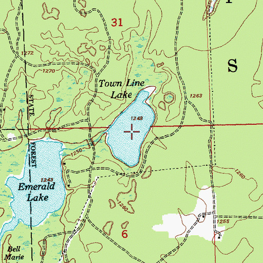 Topographic Map of Town Line Lake, MI