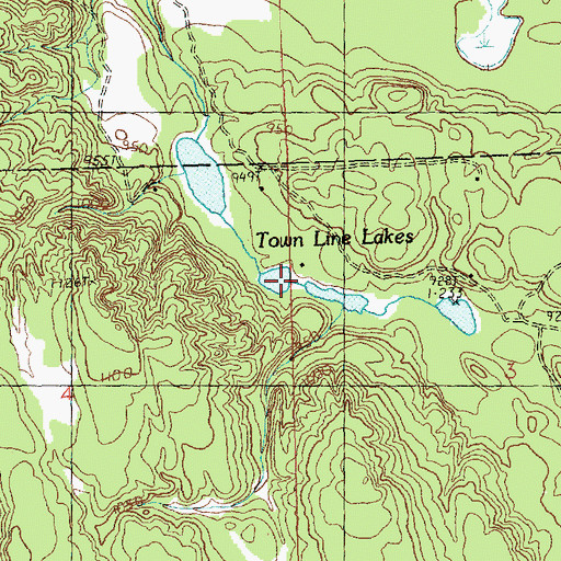 Topographic Map of Town Line Lakes, MI