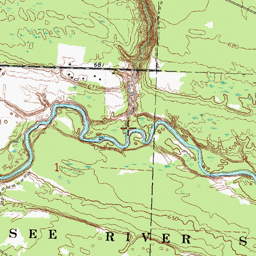 Topographic Map of Townline Creek, MI