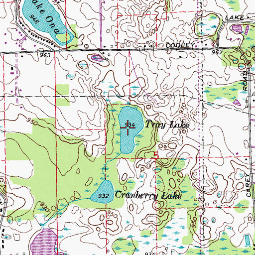 Topographic Map of Tray Lake, MI