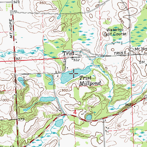 Topographic Map of Trist Millpond, MI