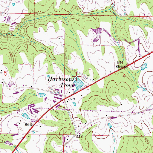 Topographic Map of Harbisons Pond Dam, AL