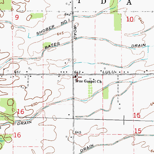 Topographic Map of True Gospel Church, MI