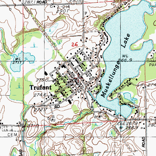 Topographic Map of Trufant, MI