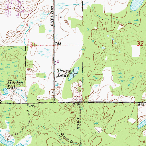 Topographic Map of Trune Lake, MI