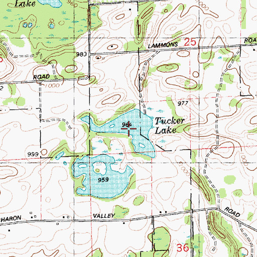 Topographic Map of Tucker Lake, MI