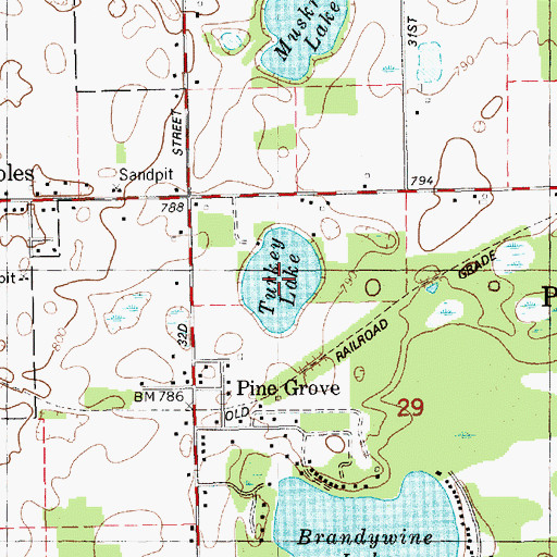 Topographic Map of Turkey Lake, MI