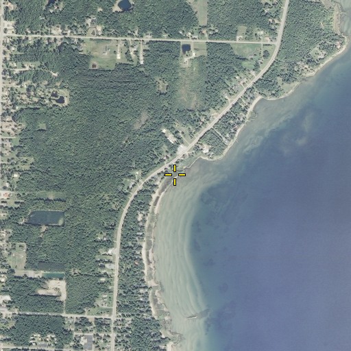 Aerial/Satellite Image of Turtle Creek, MI
