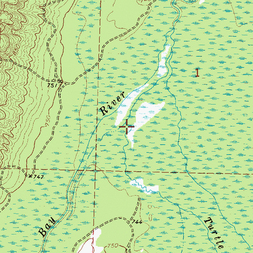 Topographic Map of Turtle Creek, MI
