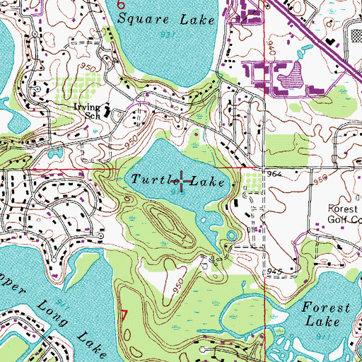 Topographic Map of Turtle Lake, MI