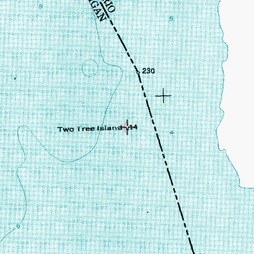 Topographic Map of Two Tree Island, MI