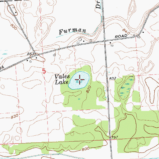 Topographic Map of Vales Lake, MI