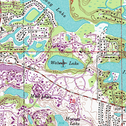 Topographic Map of Wabeek Lake, MI