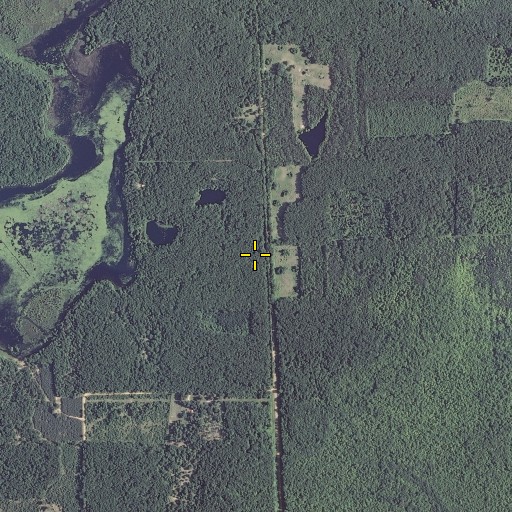 Aerial/Satellite Image of Walker School, MI