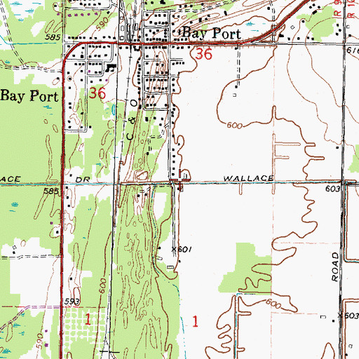 Topographic Map of Wallace Drain, MI